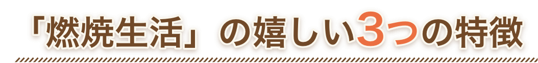 「燃焼生活」の嬉しい3つの特徴